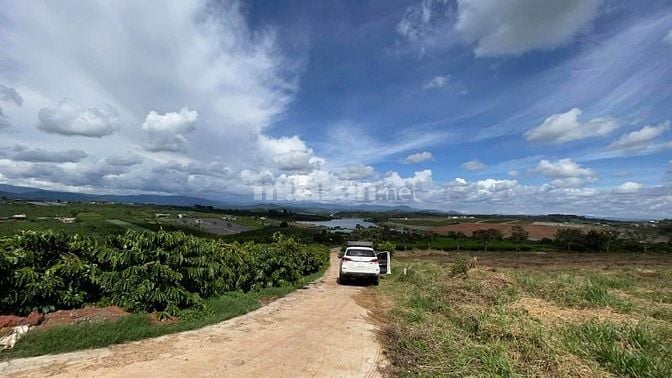 Diện tích 355m2/lô sẵn 100m2 đất ở, sẵn sổ, view hồ tại Phúc Thọ 