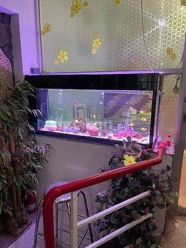 Nhà Lâm Văn Bền Q7, 5x18m, hẻm 4m, chỉ 6.X tỷ
