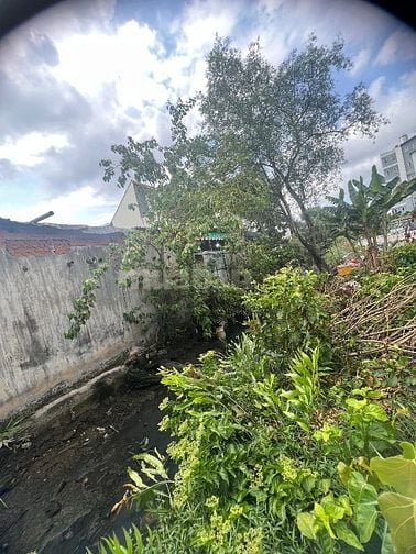 HXH Nguyễn Thị Thập Q7 / DT : 4.9m X 27m /Giá :5tỷ8