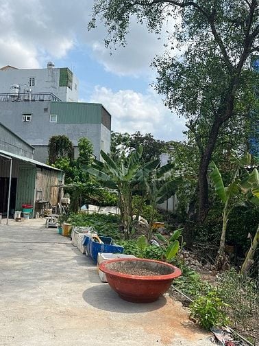 HXH Nguyễn Thị Thập Q7 / DT : 4.9m X 27m /Giá :5tỷ8