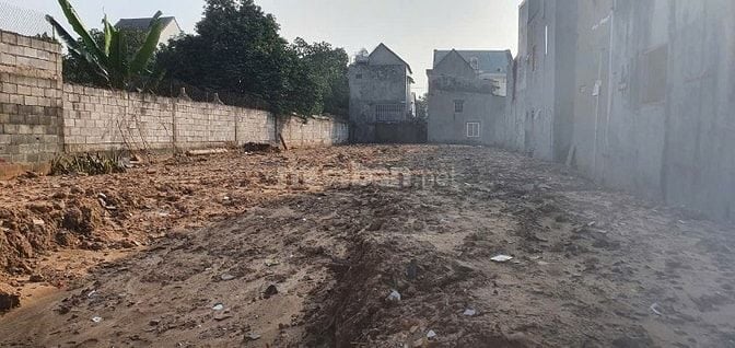 Bán đất Nguyễn An Ninh ngay chợ Dĩ An tiện làm biệt thự, CHDV… 