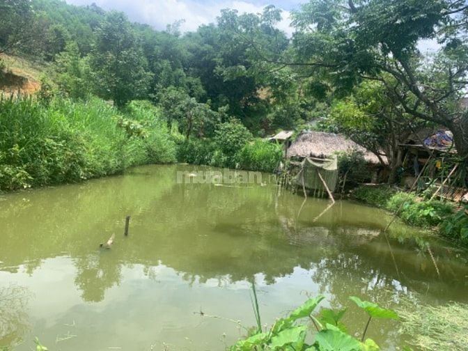 Bán nhà đất đường Hồ Chí Minh, gần khu du lịch sinh thái