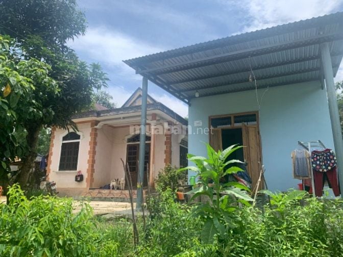 Bán nhà đất đường Hồ Chí Minh, gần khu du lịch sinh thái