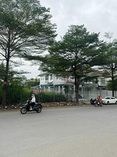 BÁN BT KHU NGGT DT:12,5X20M GIÁ BÁN 37 TỶ VỊ TRÍ ĐẸP 