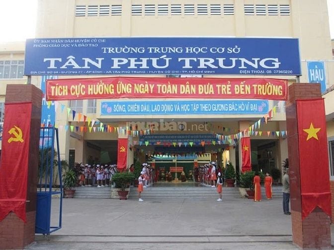 Ông Chú nhờ bán đất để dành 240m2 Tân Phú Trung, Củ Chi giá 450 triệu