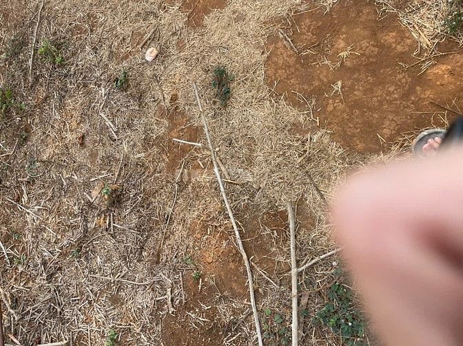 Bán Đất sổ đỏ 4500m2 mặt tiền Đường Tại Chi Lăng, Pleiku