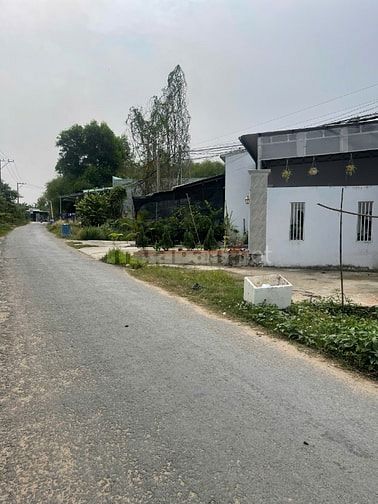 Cần bán gấp nhà cấp 4. DT 125m2 ở Tân Thông Hội - Củ Chi giá 930 triệu