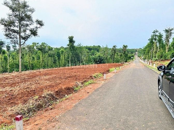 Diện tích: 152m² (5m x 35m), có 80m² thổ cư QUẢNG THÀNH, TPHCM