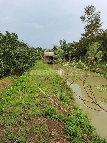 Bán đất trồng cây ăn quả tại Đồng Nai