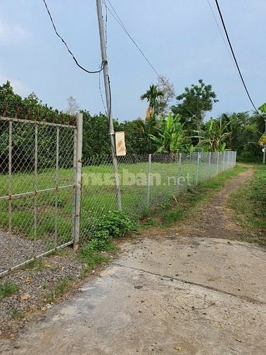 Bán đất trồng cây ăn quả tại Đồng Nai