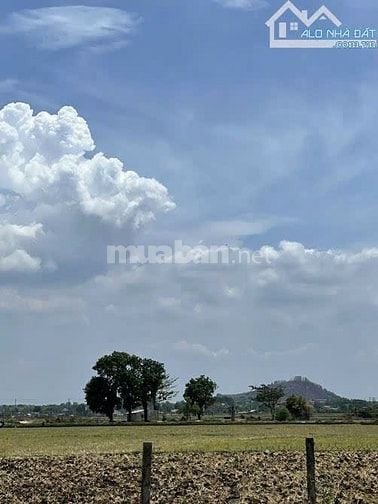 LÔ ĐẤT ĐẸP GẦn HỒ TRÀM, SẴN THỔ CƯ, GẦN CAO TỐC LONG THÀNH-HỒ TRÀM, GI