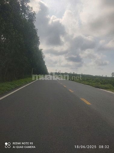 LÔ ĐẤT ĐẸP GẦn HỒ TRÀM, SẴN THỔ CƯ, GẦN CAO TỐC LONG THÀNH-HỒ TRÀM, GI
