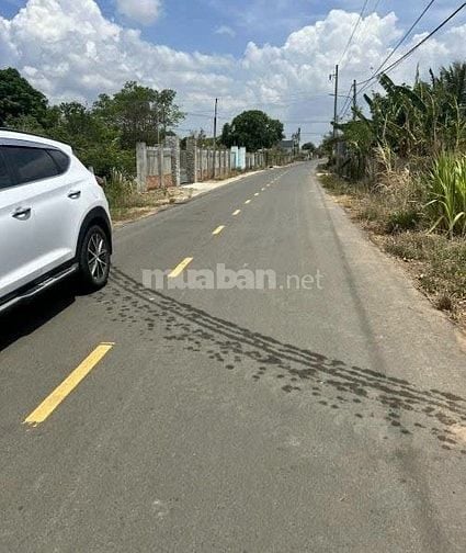 BÁN ĐẤT PHƯỚC THUẬN, XUYÊN MỘC, BRVT 