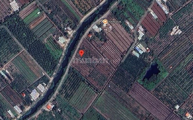 12313m2 đất vườn MT Kênh Rạch Bần (104x124) DT816 chỉ 600m Giá 19,5 tỷ