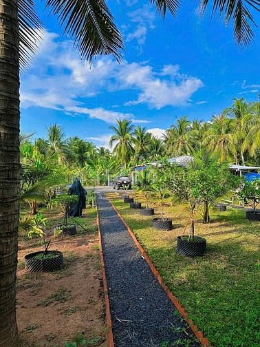 Nhà vườn nghỉ dưỡng ven sông - ven sông chỉ 1 tỉ 700 triệu 
