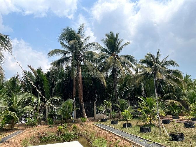 Nhà vườn nghỉ dưỡng ven sông - ven sông chỉ 1 tỉ 700 triệu 