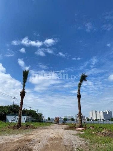 BÁN BIỆT THỰ LIỀN KỀ DỰ ÁN PALMY BIZTOWN - 81m2