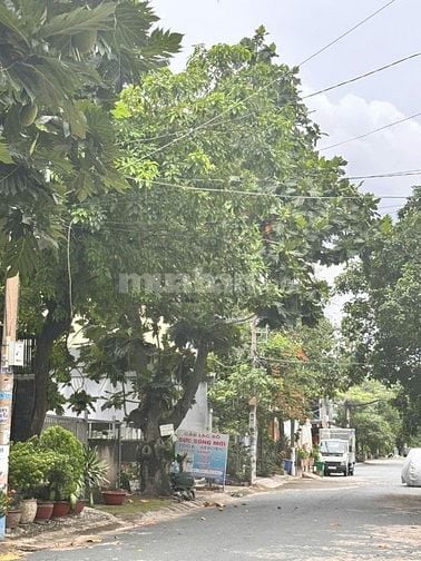 BÁN  ĐẤT MT ĐƯỜNG 12M, 105M² FULL THỔ CƯ – ĐƯỜNG PVĐ, HBC, CHỈ 11,8 TỶ