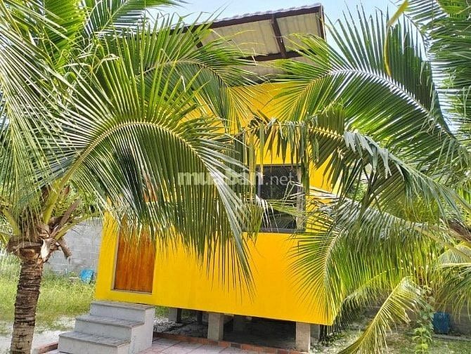 Xuất cảnh cần bán homestay đang kinh doanh ổn định