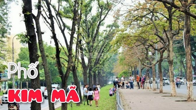 Cần bán hà riêng 91m chính chủ phường Kim Mã, phố Kĩm Mã quận Ba Đình