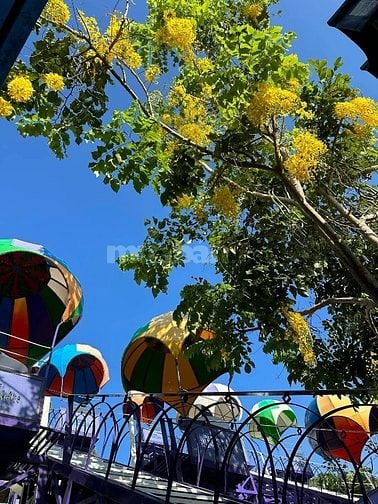 Sang quán cà phê tại Thành phố Vũng Tàu