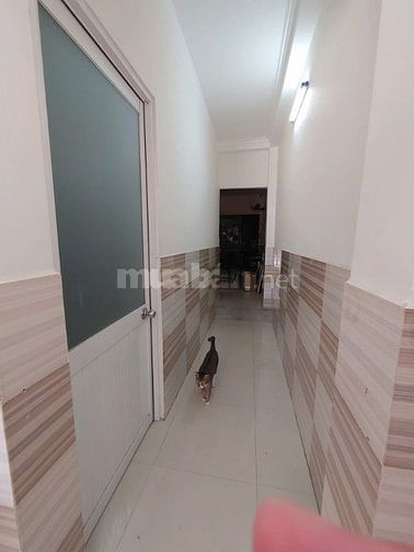 Cho thuê nhà hẻm 5m(XH)Phạm Văn Xảo, P.P.T.Hòa, Q.Tân Phú giá 13tr