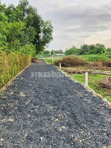 Chính chủ bán đất vườn vị trí đẹp đường 646 , Phước Thạnh, Củ Chi
