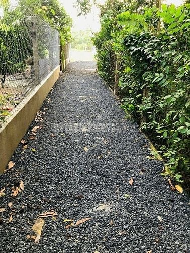 Chính chủ bán đất vườn vị trí đẹp đường 646 , Phước Thạnh, Củ Chi