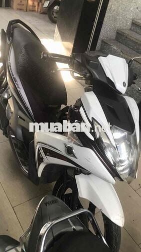 yamaha fi Máy zin Cọp