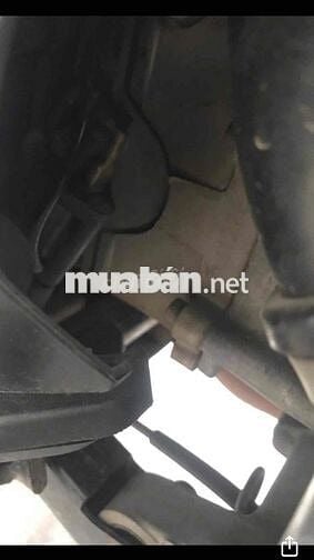 yamaha fi Máy zin Cọp