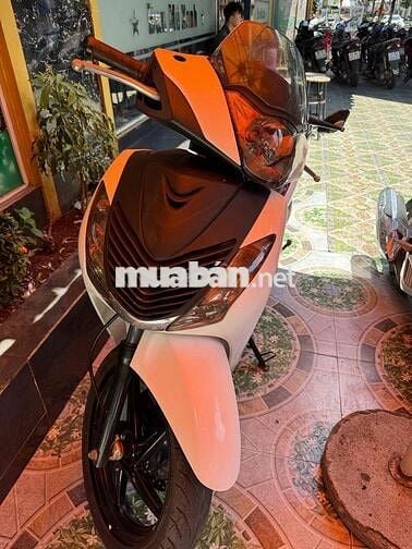 sh nhập 125