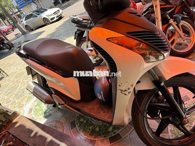 sh nhập 125