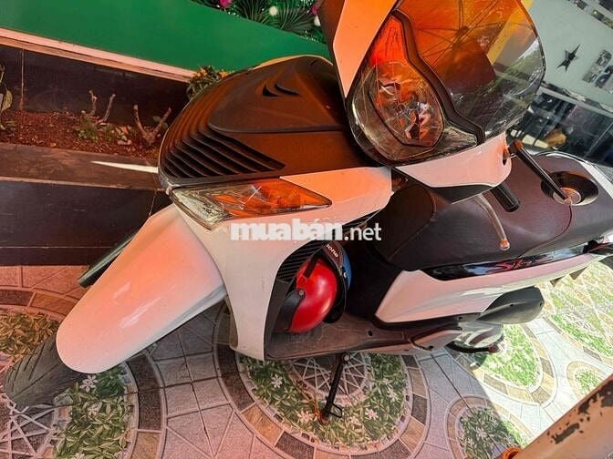 sh nhập 125