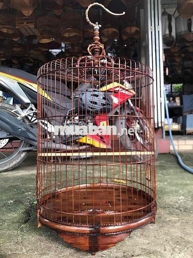 cần bán chiếc winner v1