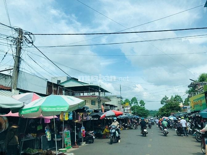 CẦN SANG LẠI 2 SÀO ĐẤT (2250M2) SHR-MT ĐƯỜNG LỚN, ĐIỆN 3 PHA DÂN ĐÔNG 