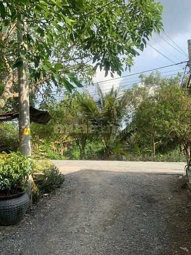 Cần bán nhà đường D4, xã Tân Nhựt, huyện Bình Chánh, 4x10m, 550tr