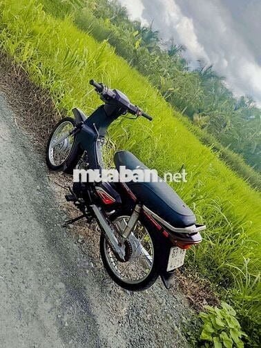 Dream tq 2manh