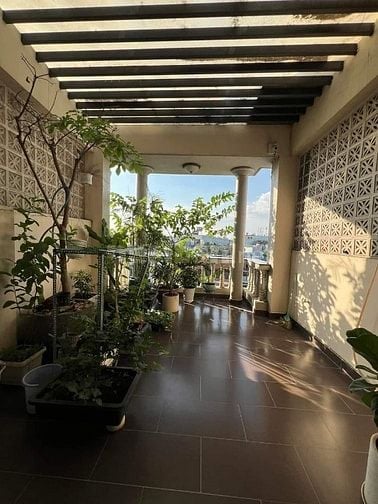 Bán nhà mặt đường Nguyễn Bá Tuyển, Tân Bình. Gần chợ Hoàng Hoa Thám