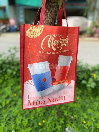 Xưởng may túi vải Không Dệt theo yêu cầu tại Cần Thơ