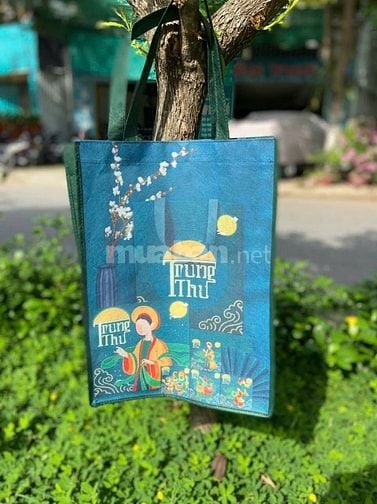 Xưởng may túi vải Không Dệt theo yêu cầu tại Cần Thơ
