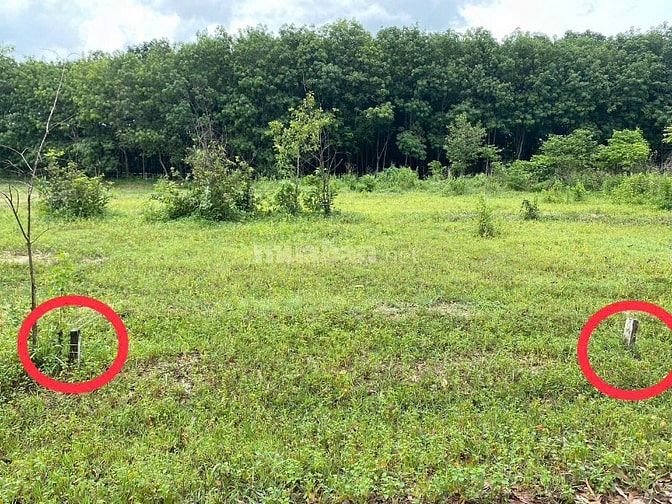 Bán gấp lô đất ngay KCN Mỹ Phước 3; 5x53m; tiện xây dựng;sổ đỏ; 2,6 tỷ