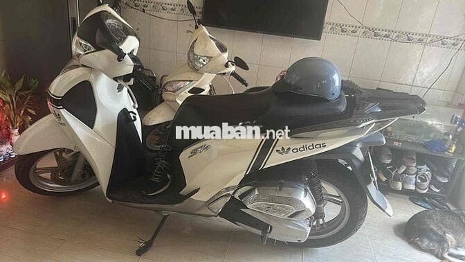 sh 125 Abs trước sau 2019