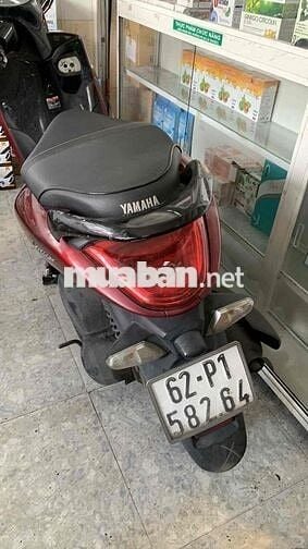 mua xe mới cần bán
