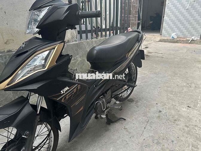 Xe 50cc không cần bằng lái.