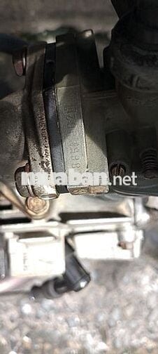 Cần bán dream lùn thái 93
