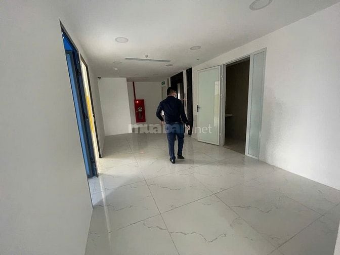 Bán Tòa Văn Phòng Phố Hòa Mã 7 Tầng Nổi 1 Tum 2 Hầm Mặt Tiền 12M