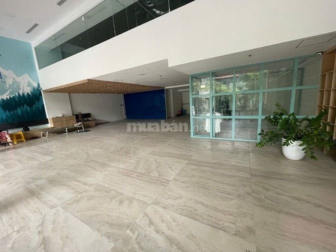 Bán Tòa Văn Phòng Phố Hòa Mã 7 Tầng Nổi 1 Tum 2 Hầm Mặt Tiền 12M