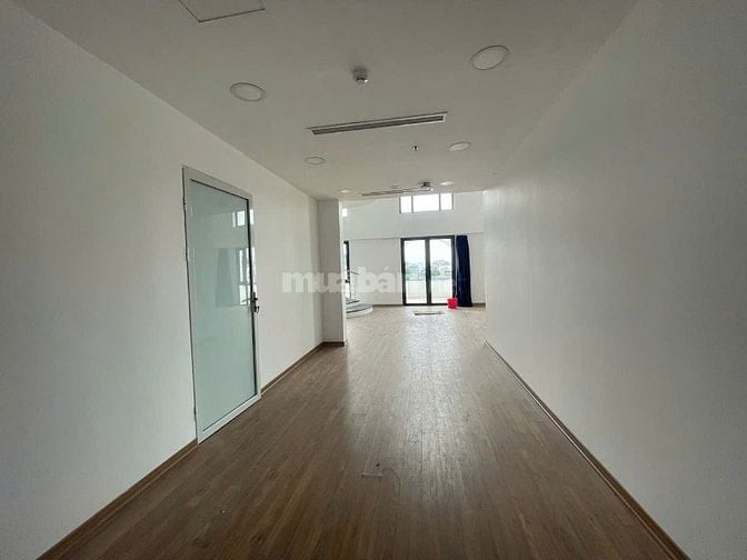 Bán Tòa Văn Phòng Phố Hòa Mã 7 Tầng Nổi 1 Tum 2 Hầm Mặt Tiền 12M