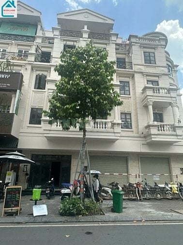 Siêu Phẩm!!! Cho thuê 2 căn liền kề đườngsố 3 KDC Cityland GV_DT:10x20