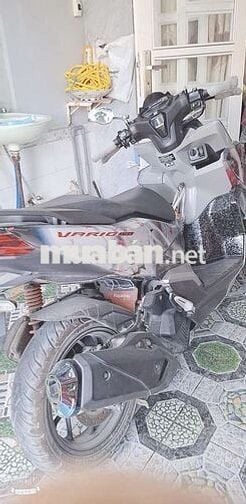 Xe vario 160